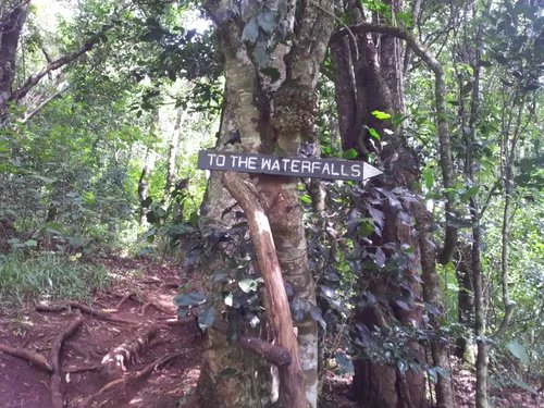 ♨️ 고쇼가케 자연 연구로 (고쇼가케 시젠켄큐로) 이미지 1